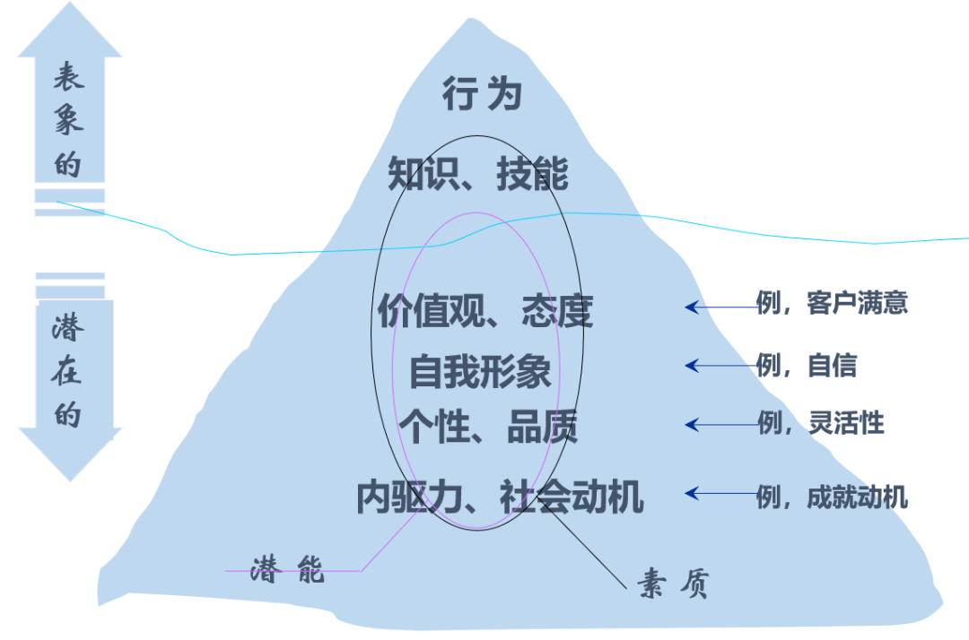 人才画像和胜任力模型图片