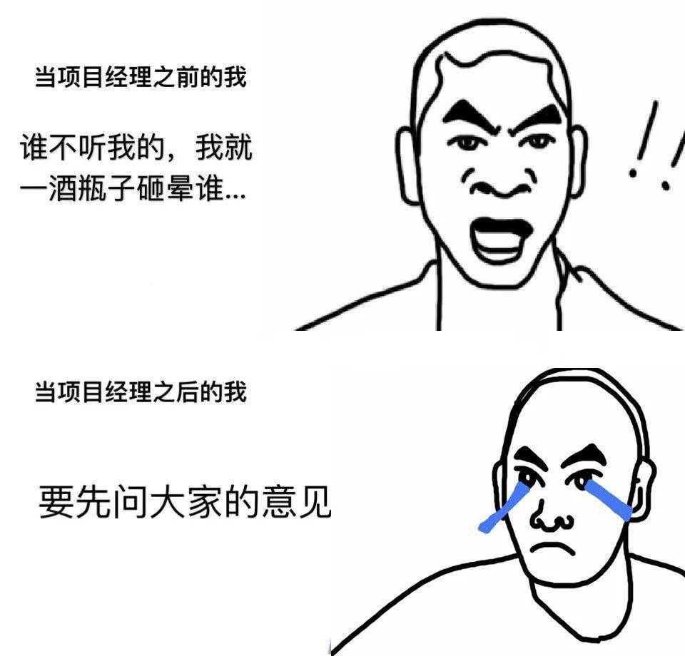 不要一锤定音,多听听团队成员的意见.