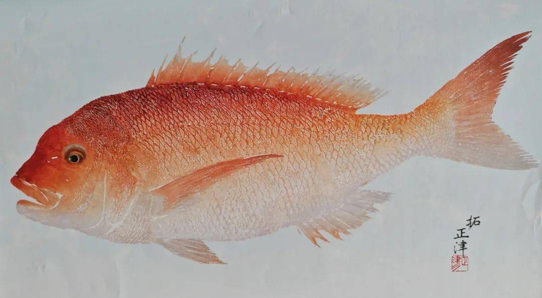 日本鱼拓大师松永正津逝世_先生_中国_我国