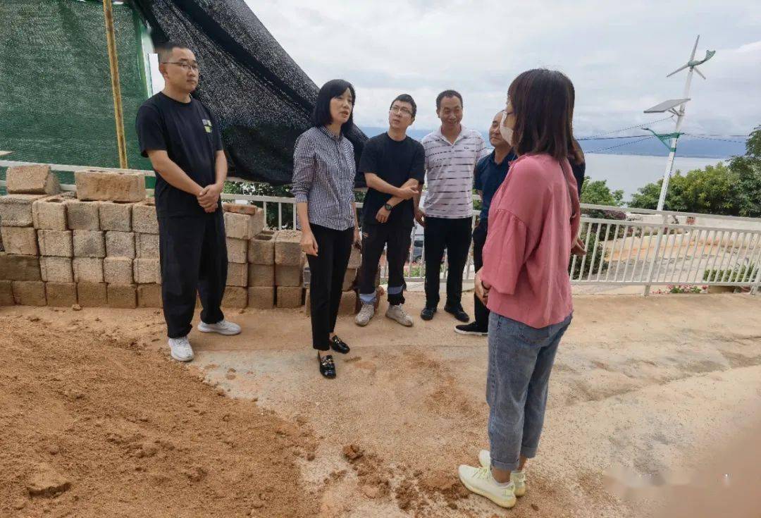 王梅芬在海东镇督导调研时强调统筹抓好重大项目建设,洱海保护治理