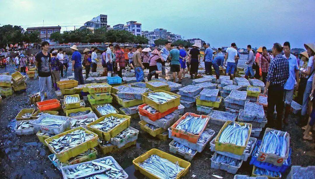 寇林波/摄将于8月16日隆重开启!