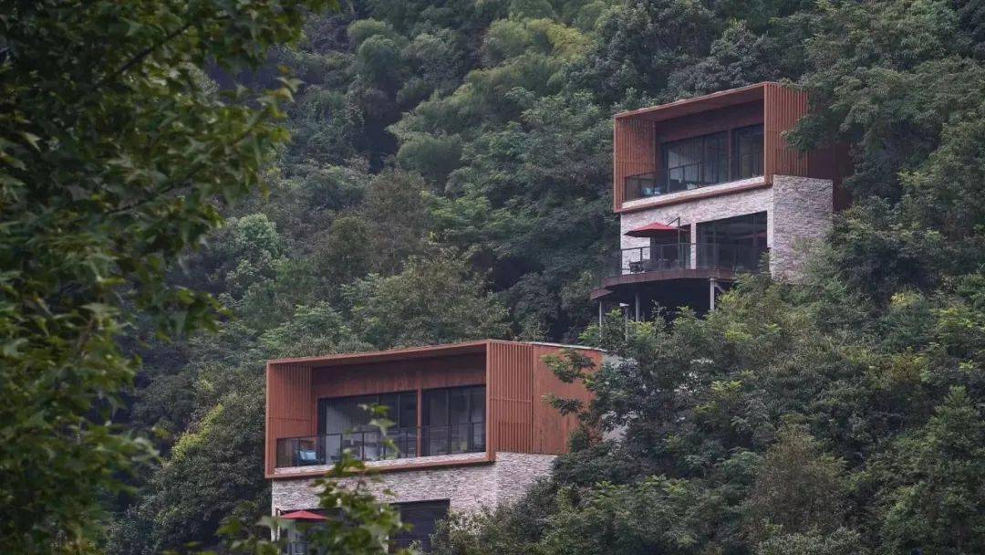 安缦同门,被首旅扫地出门_安岚_管理_集团