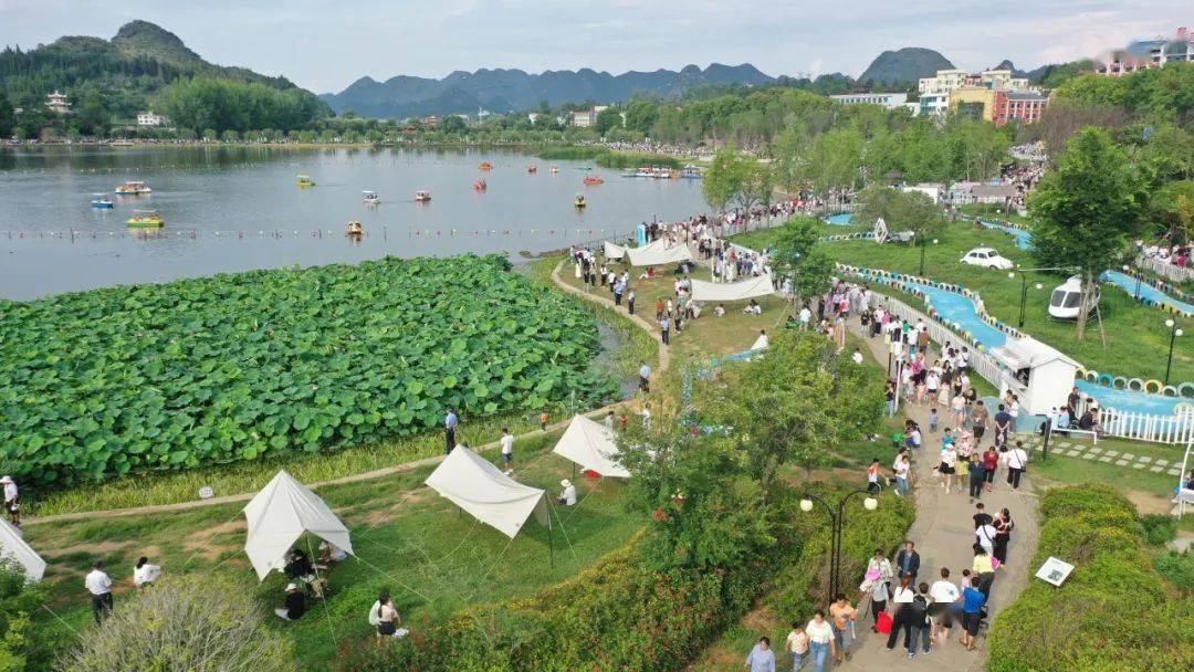 安龙:"以节促旅"引客来 加油"荷"动季催热旅游经济_游客_荷花_美食