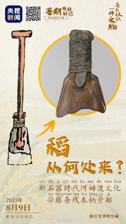 7000多年前铲子用动物骨制作