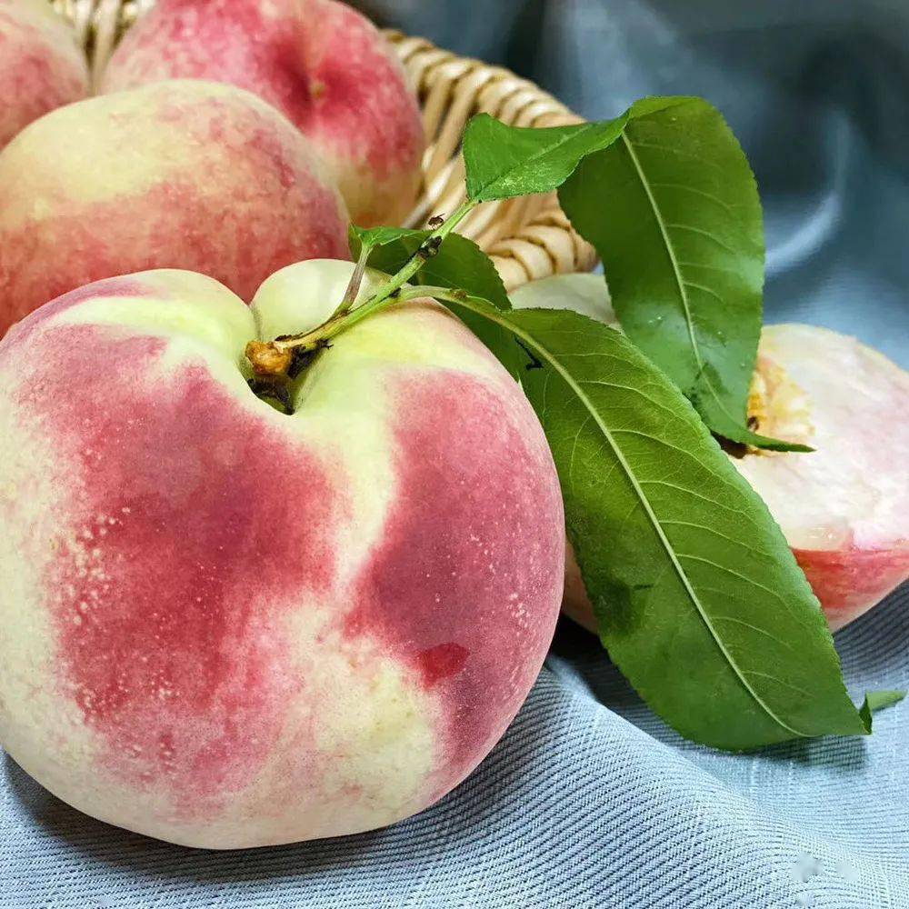 【精品玉露水蜜桃】开团价仅49.9元一箱!桃中"白富美"就是它!