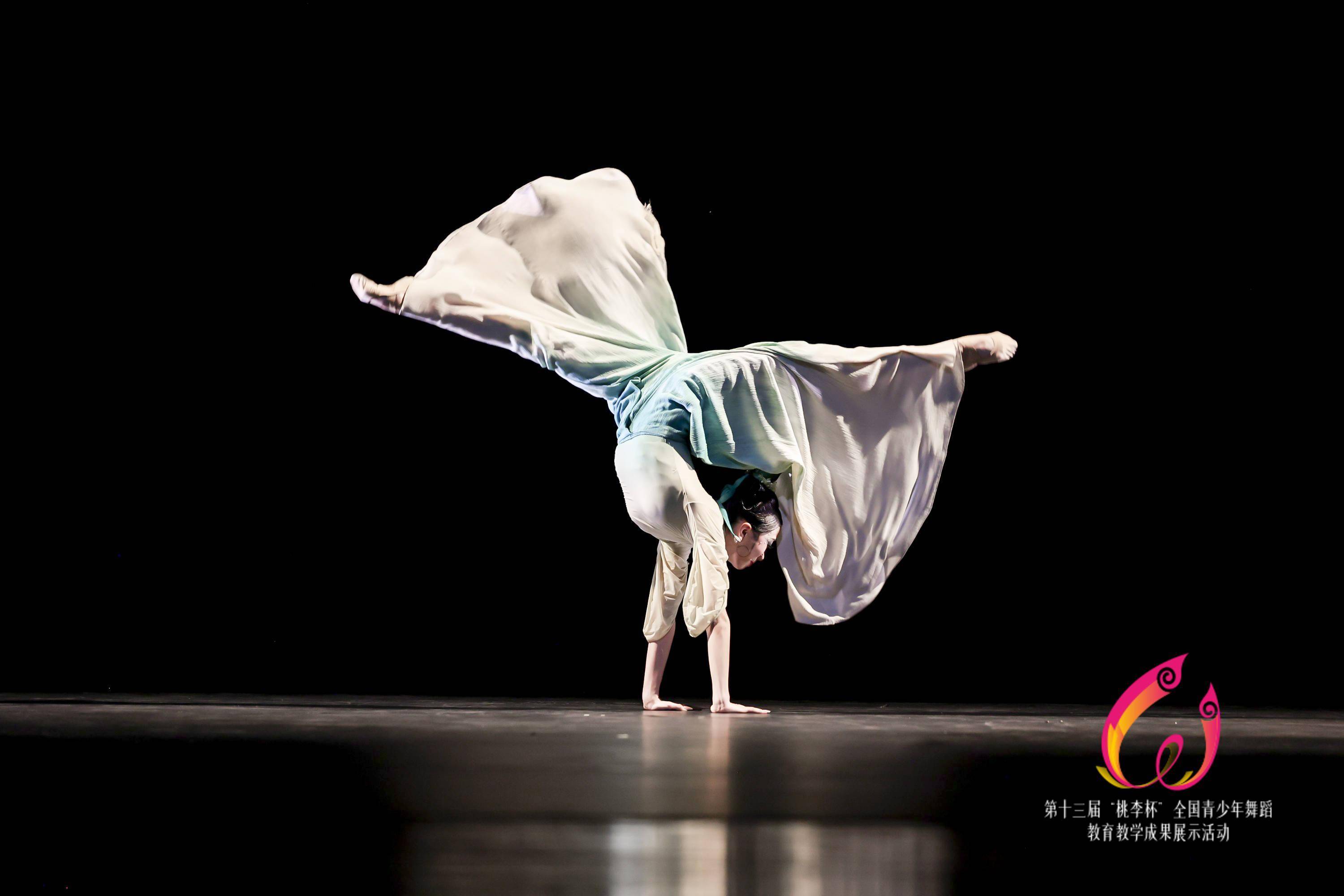 千名学子"桃李杯"上展舞艺_展演_网站_少年组