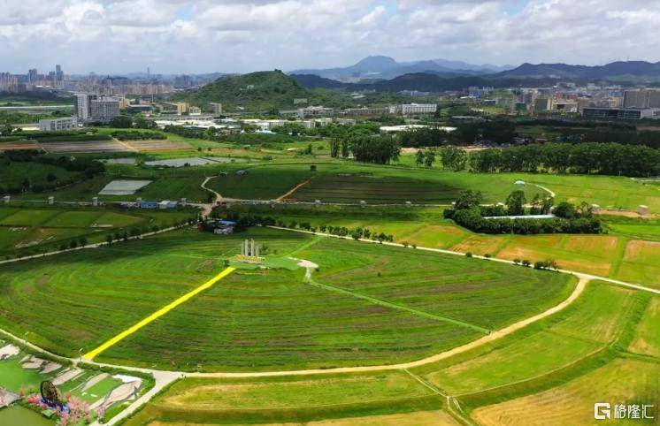 (大顶山公园幽径)(楼村湿地公园)比如楼村湿地公园,麒麟山公园,大顶领