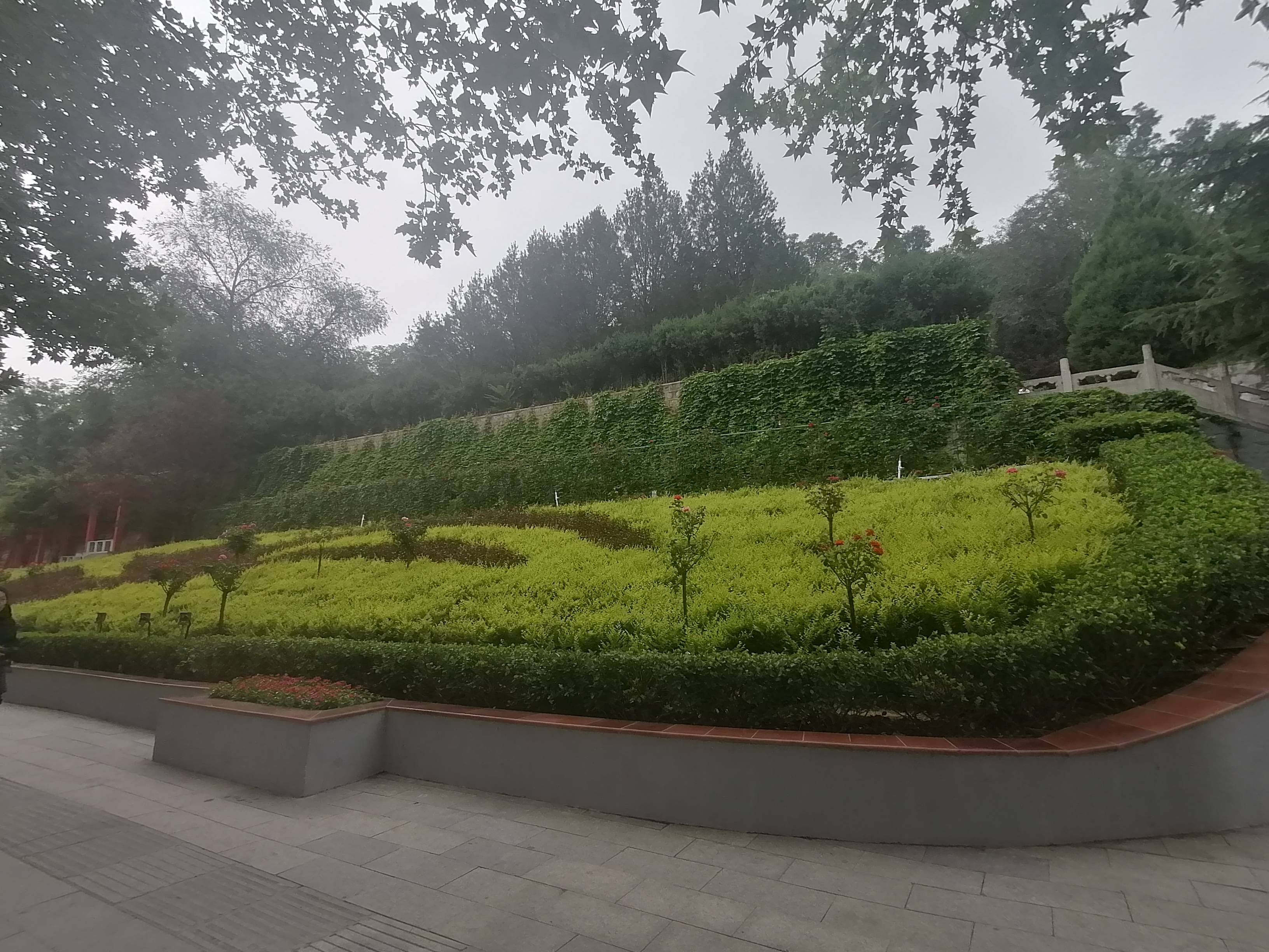 阳泉:加强绿地管护水平 构建城市绿化新格局_改造_南山公园_建设