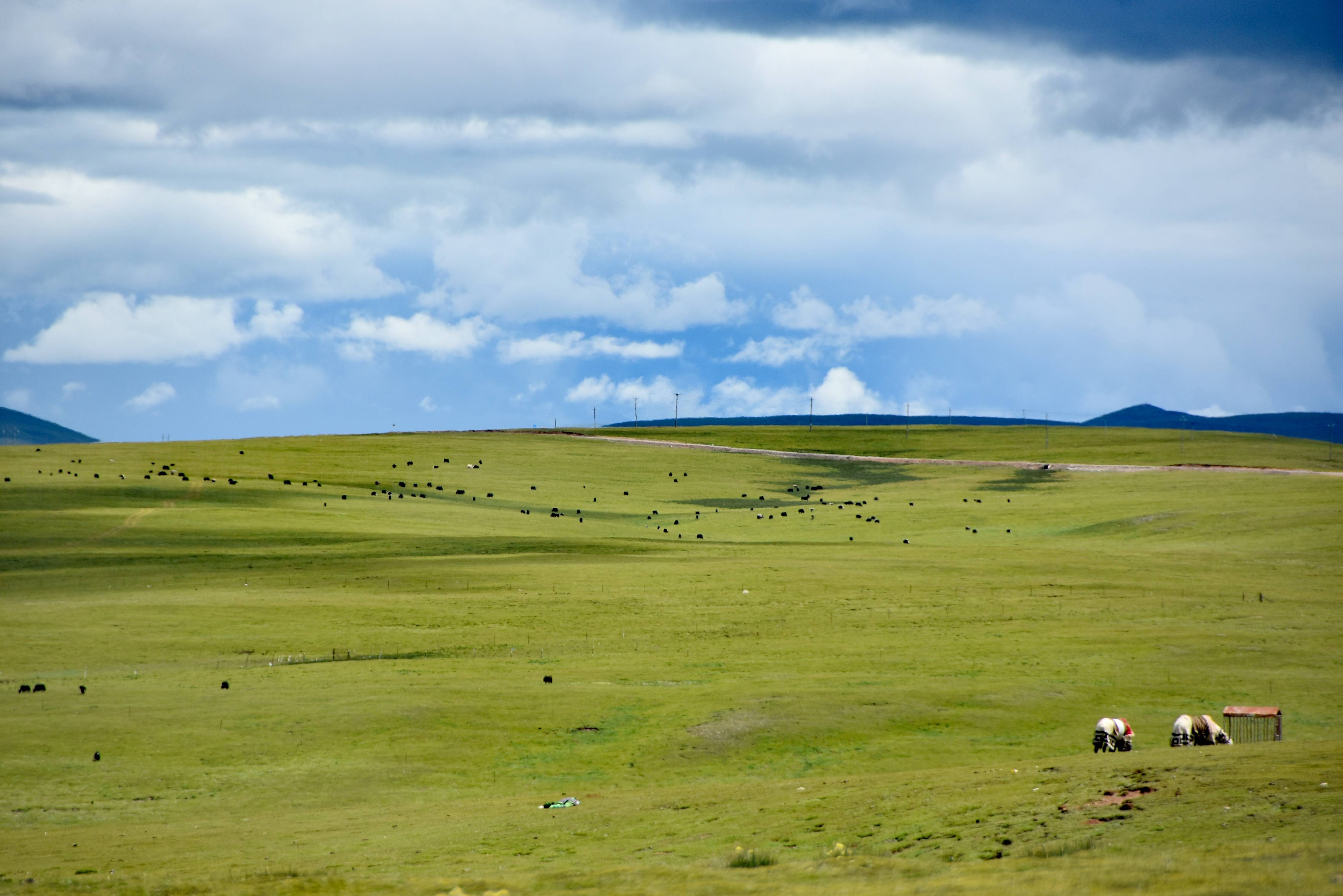 (美丽中国)羌塘草原景色美_新华社_旦增努布_风景