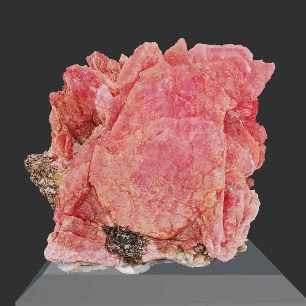 假期逛博物馆 学习娱乐两不误_广西_南宁_历史