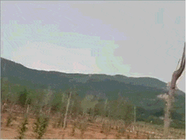 森林雷击火集中爆发发现难度大国内首个雷击火感知系统在大兴安岭业务化运行_雷电_影响_活动