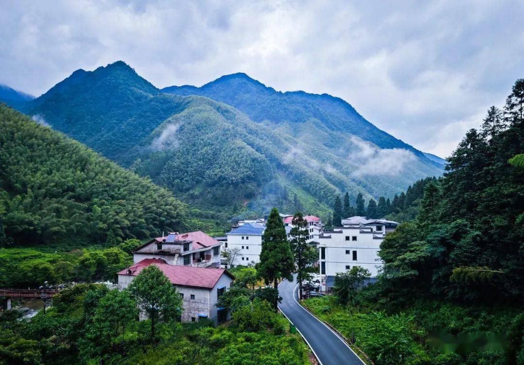 6—8.12_武夷山镇_铅山县_西坑
