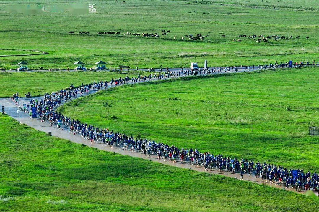 2023敕勒川草原半程马拉松赛火热开跑!_新城区_浩翔_全国