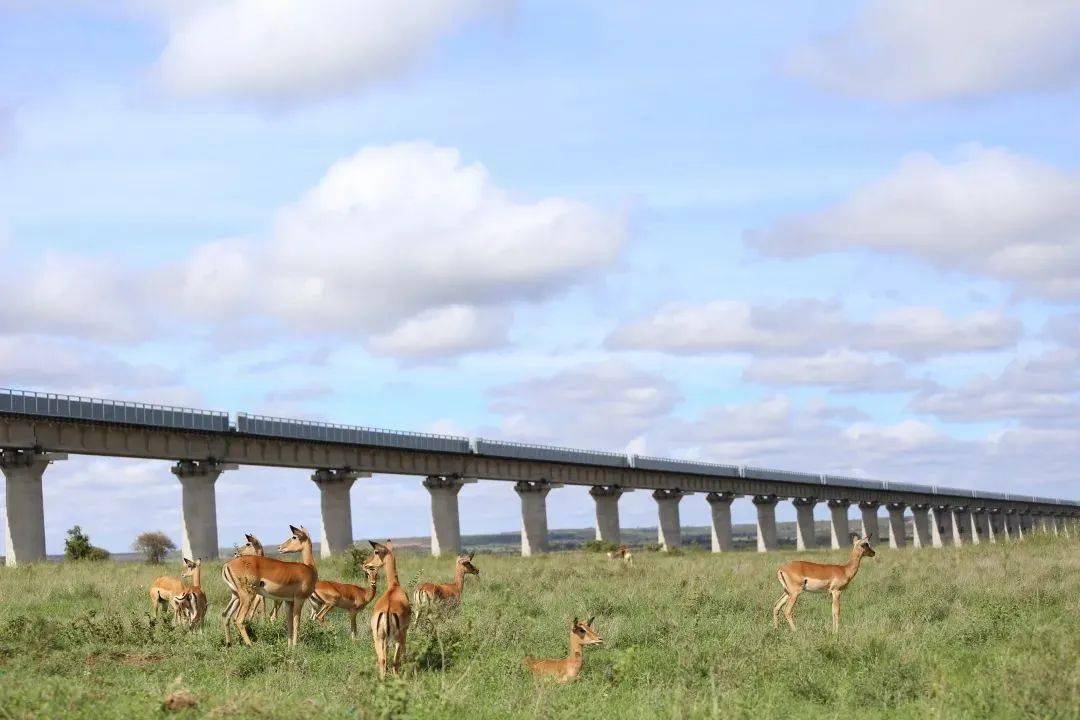 海外超级工程|蒙内,内马铁路:为肯尼亚铺就幸福发展之路_项目_施工
