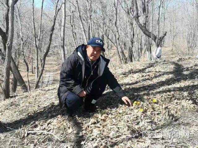 小花圃带火旅游大产业丨五常农民建“百花园”等你(图1)