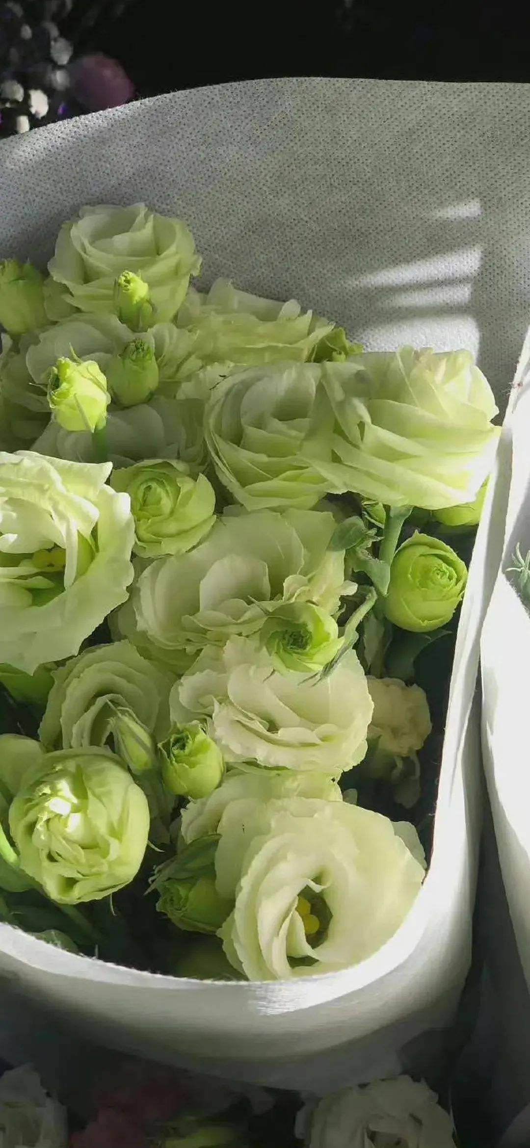 壁纸| 又到了存壁纸的快乐时间_ins_质感_高清