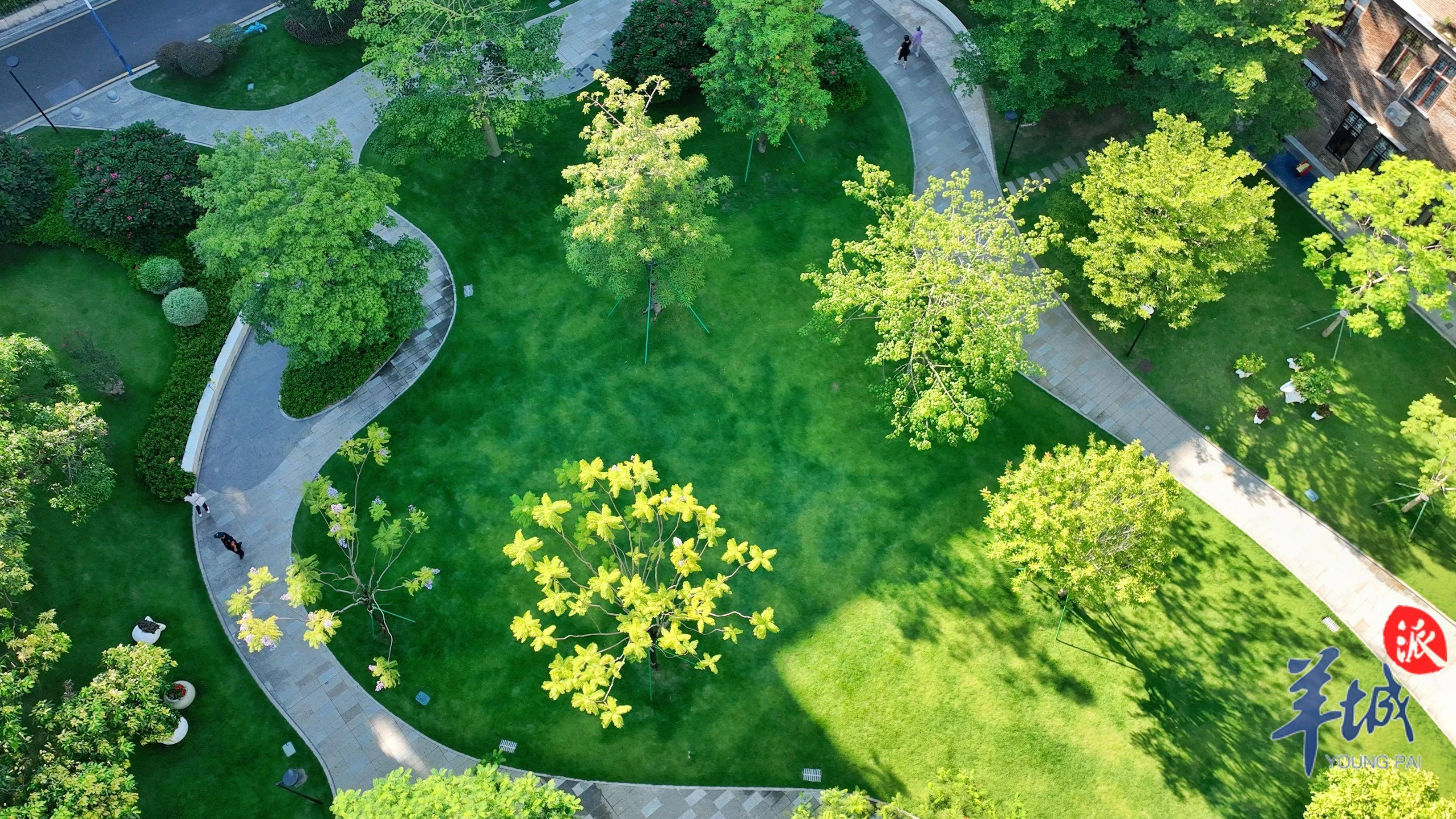 生态绿地——位于越秀区的马庄巷社区公园是广州有效推进"口袋公园"