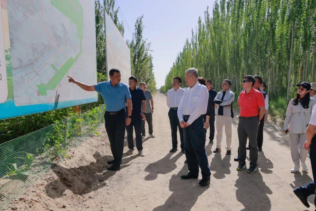 考察中大生态林调研当地的生态林建设情况麦盖提县塔克拉玛干沙漠西南