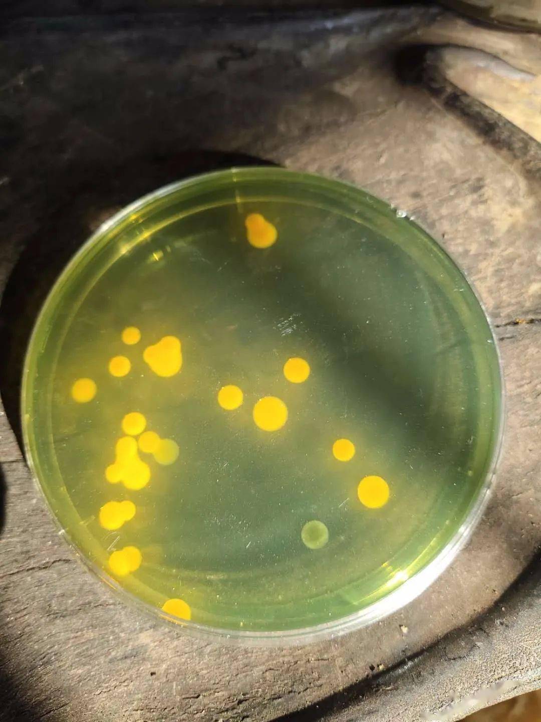 用了这个猎弧英雄再也不用谈弧色变了