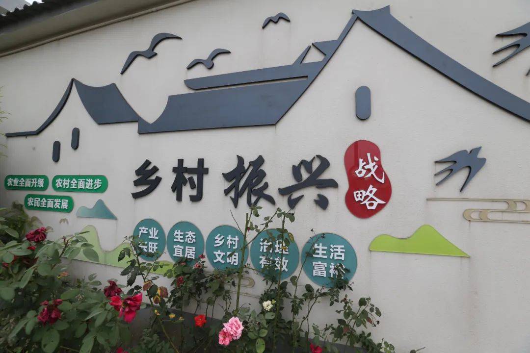 陆方舟调研乡村振兴示范村建设_葛隆_上海_情况