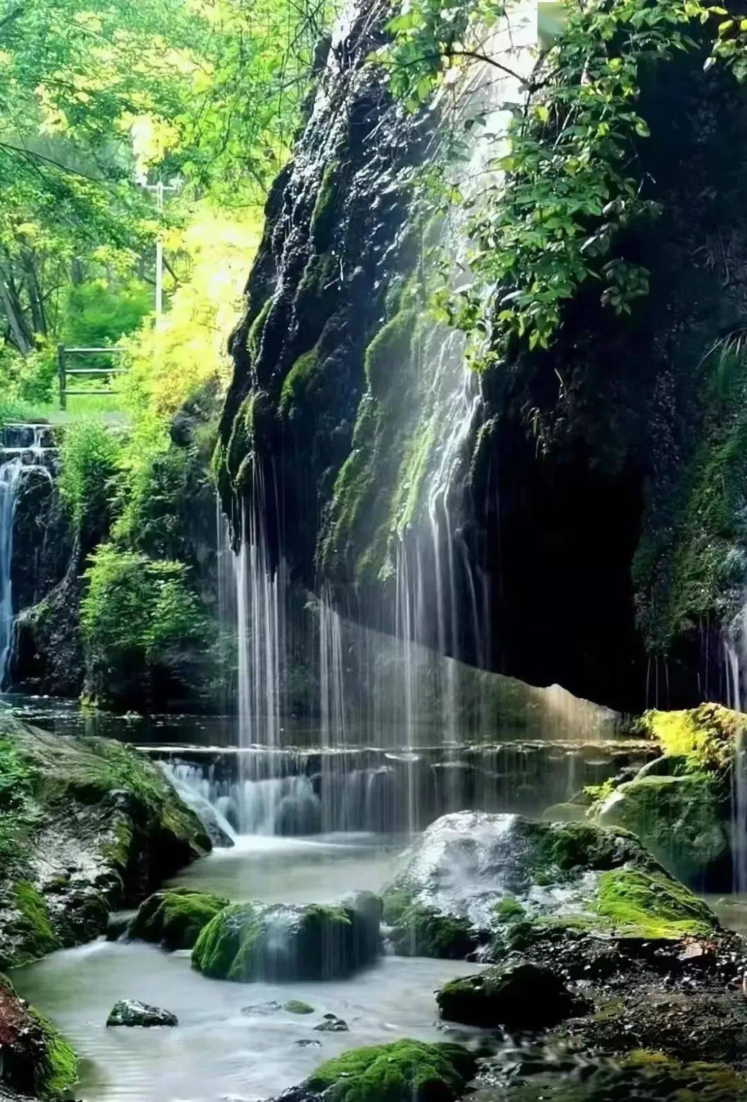 体验绿野仙踪感受惬意清凉双龙湾景区还有唯美风景不止是亲水项目让人