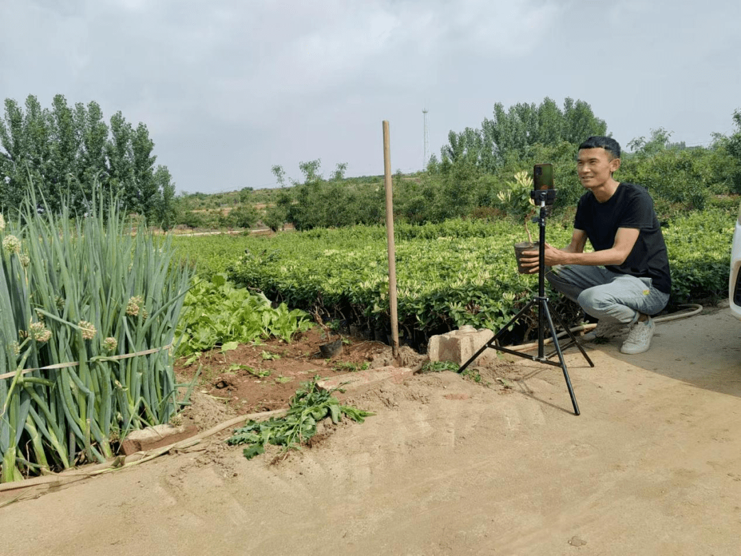 平邑县开发式帮扶有新招"n 1"助力行稳致远_乡村_保太_岗位