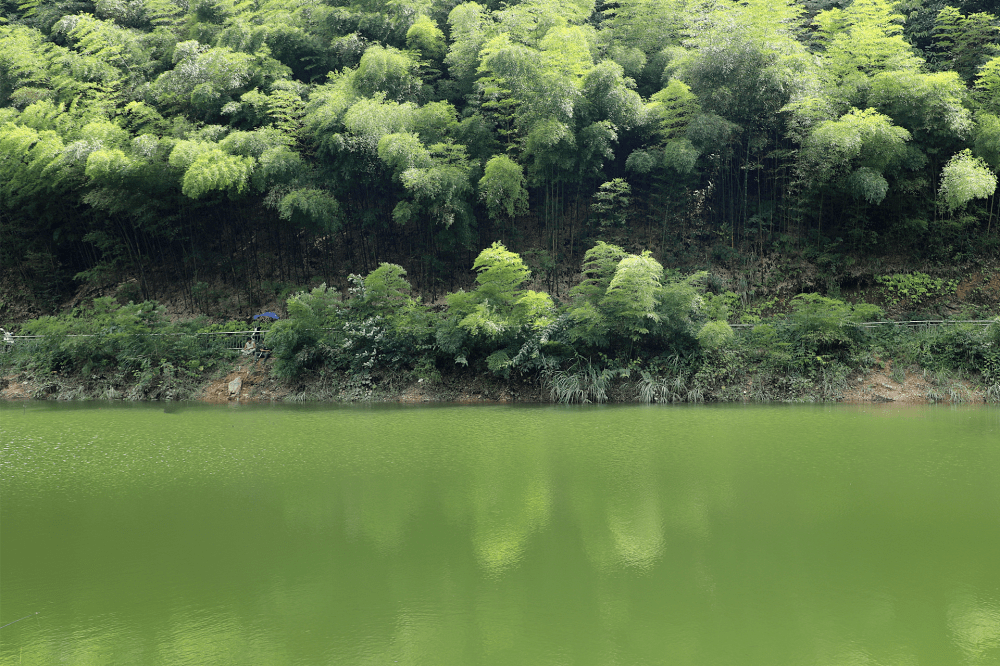 小编揭秘:"云上龙盘 康养秘境"未来长这样!_盘村_农田_文化