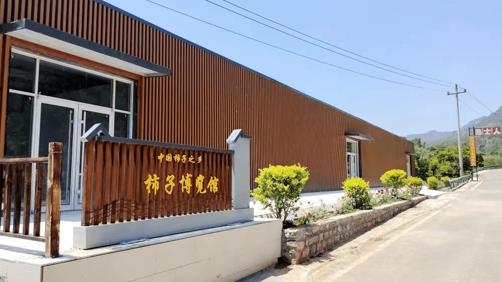2023年文旅民生实事进行时⑩ | 临朐县五井镇建成一家乡村书房_文化