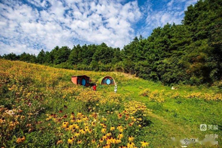 草坝纳凉小记_景区_镇巴县_云海