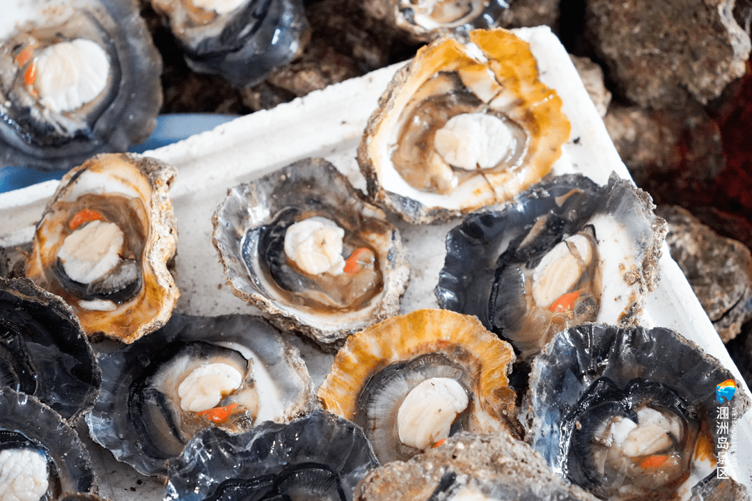 黑海参,沙虫等汇聚了各种珍奇的海鲜地处北部湾海域中部的涠洲岛拥有