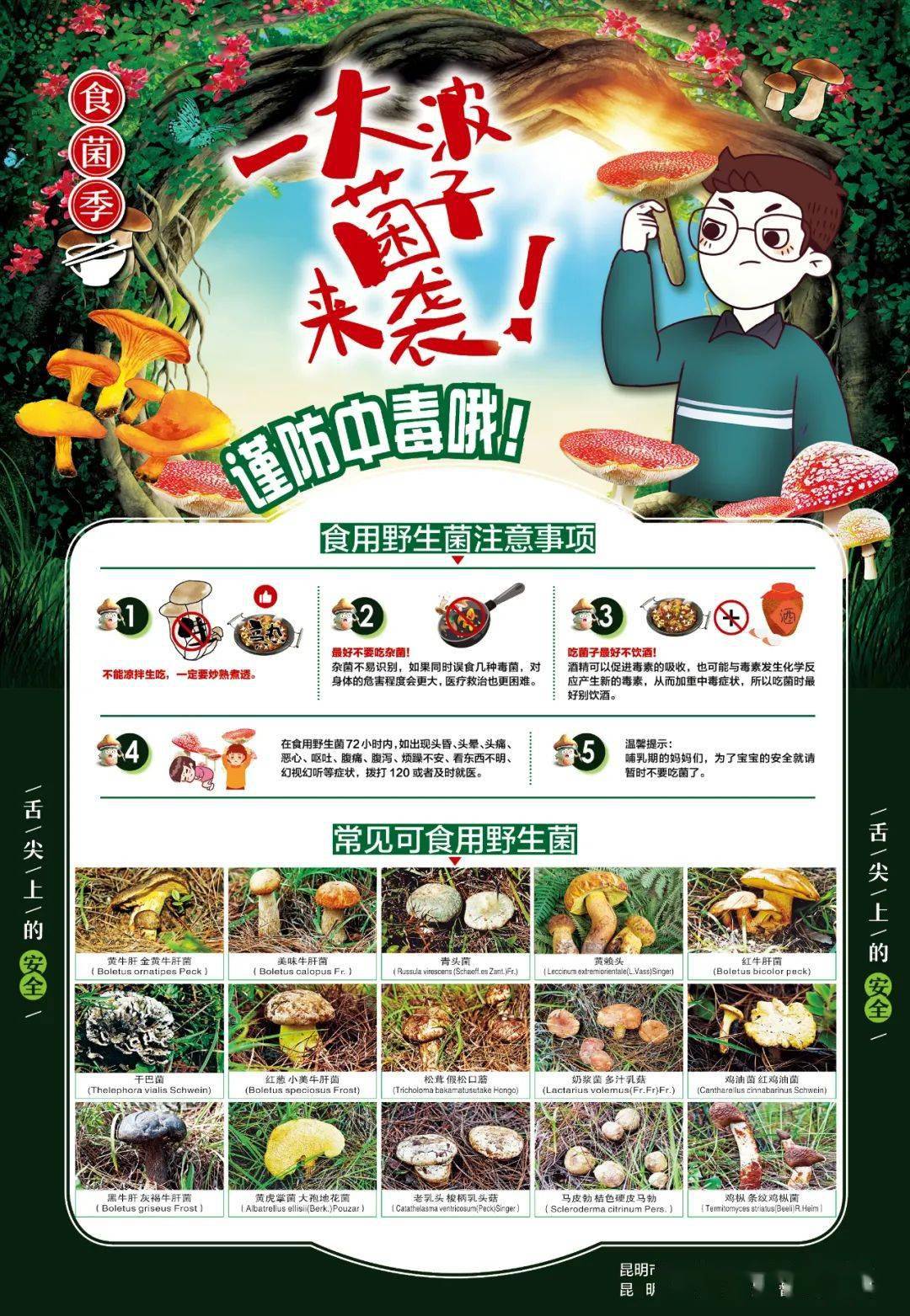 昆明市2023年野生菌中毒防控预警_食用_应急_加工