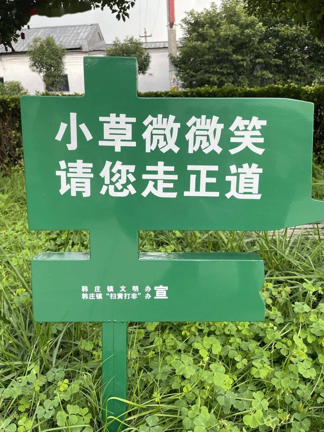 河南安阳:让"扫黄打非"宣传走新更走心_工作_精神文明_行动