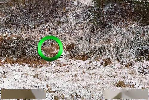 视力测试,找不到15个去看医生吧!敢不敢→_寻找_蔡司_管理