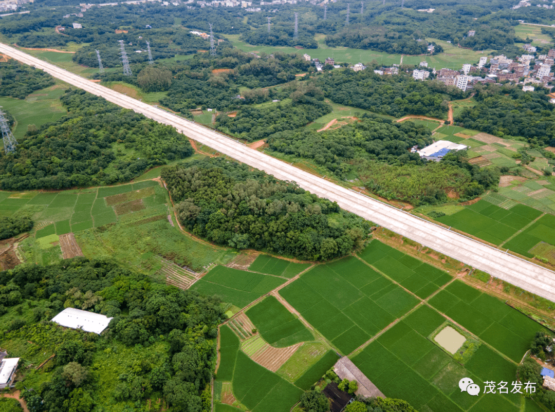 电白这条要道放行时间定在…_发展_交通_迎宾大道