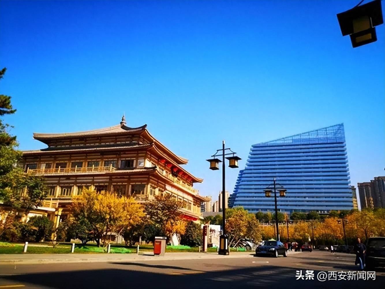 西安这些"动物"地名,你知道几个?_骆驼巷_历史_凤城