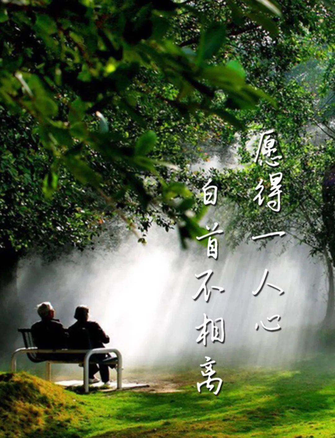 七夕：愿得一人心，白首不相离_时光_爱情_深情