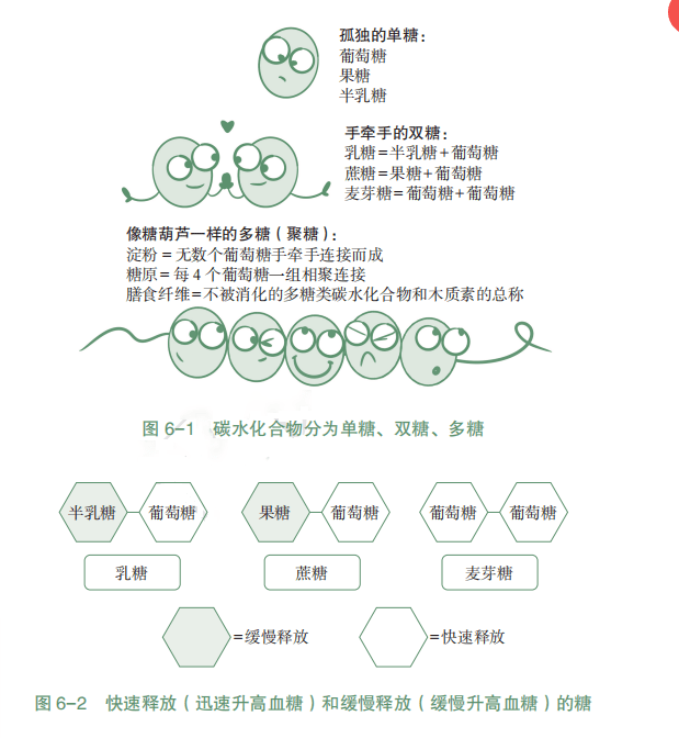 遥远,行动缓慢,不容易引起血糖迅速升高的各种糖,也就是双糖或者多糖