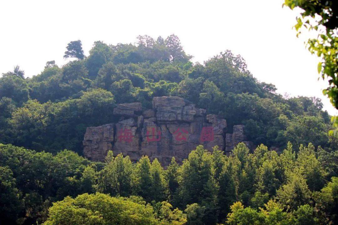 【图说·绍兴】夏日的梅山公园_摄影_古越_夏色