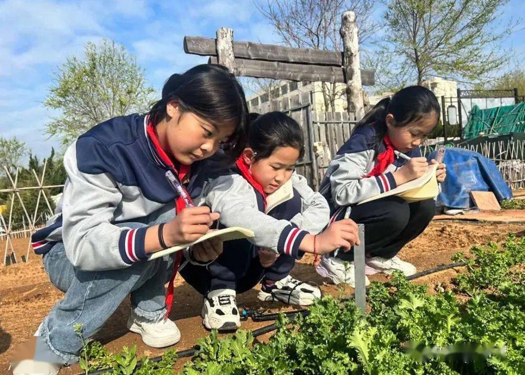 开放式书香阅读区,激发了孩子们的阅读兴趣;望海园中学打造无边界校园