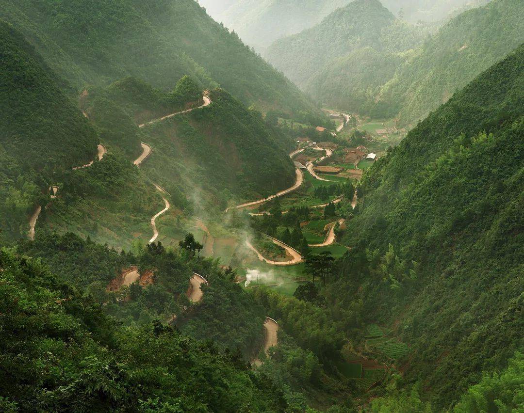 遂昌西畈乡村企联建加速乡村振兴_建设_农户_立足