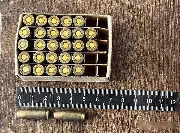 公安局第二次夏季治安打击整治行动成效显著_手榴弹_辖区_宣传