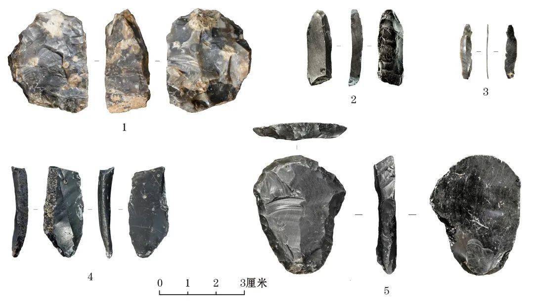 考古2022︱旧石器考古：古化石，新发现，探起源；辨技术，论行为，释