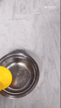饿猫扑食.gif