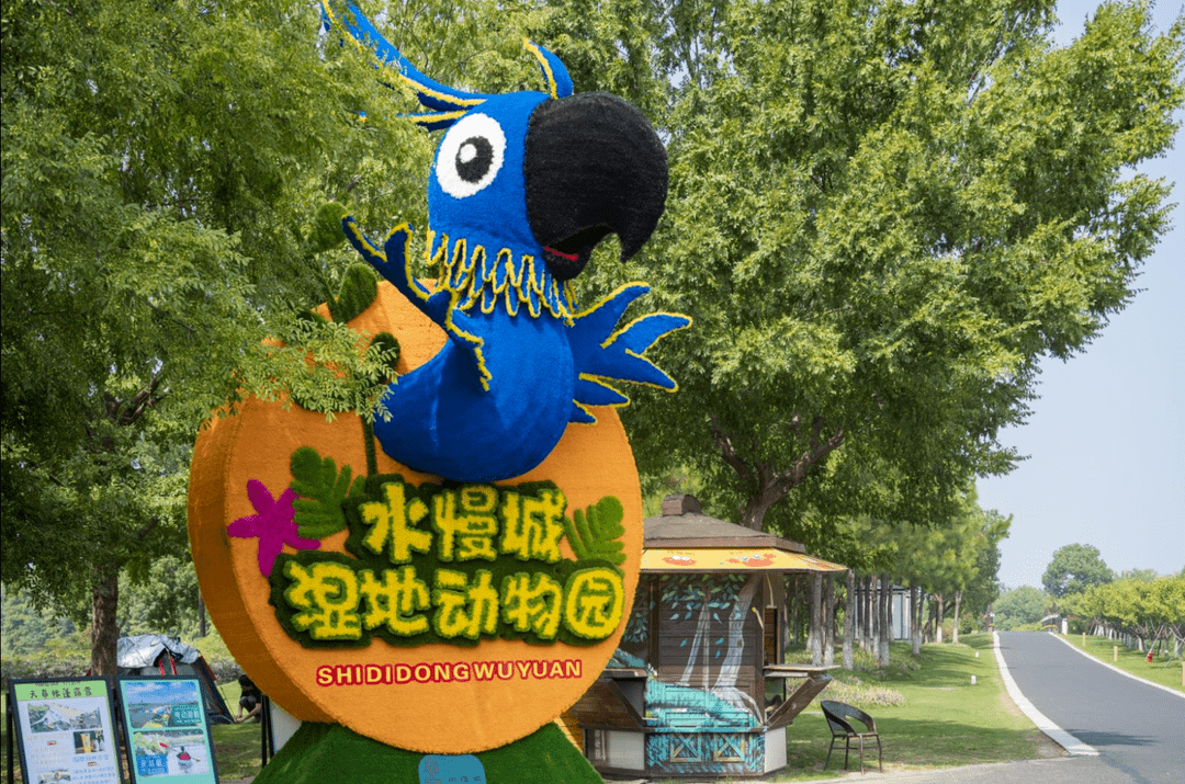 本周六水慢城免费开放,这份游玩指南快收好~_夏末_花海_荷塘