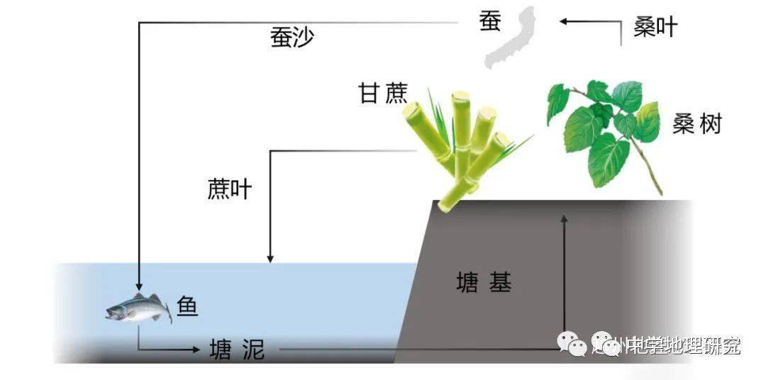 基塘农业简易图图片