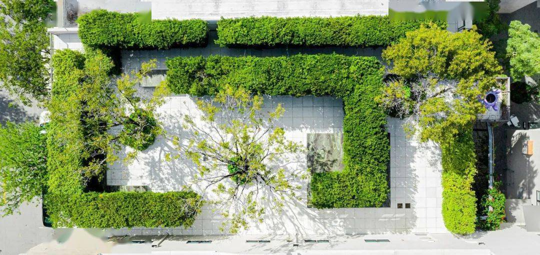 100多张国内外超美的鸟瞰,让ni一饱眼福_花园_种植_植物