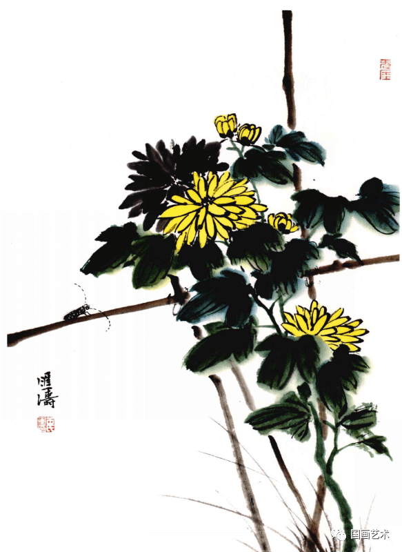 秋意渐浓时,学画写意菊花