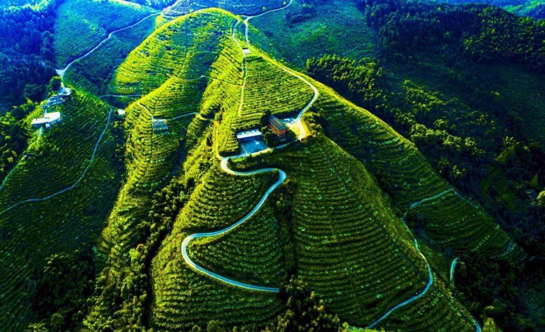 壮美明月山:长寿摄影师镜头下的自然奇观_游遥_洪湖犁_李炎