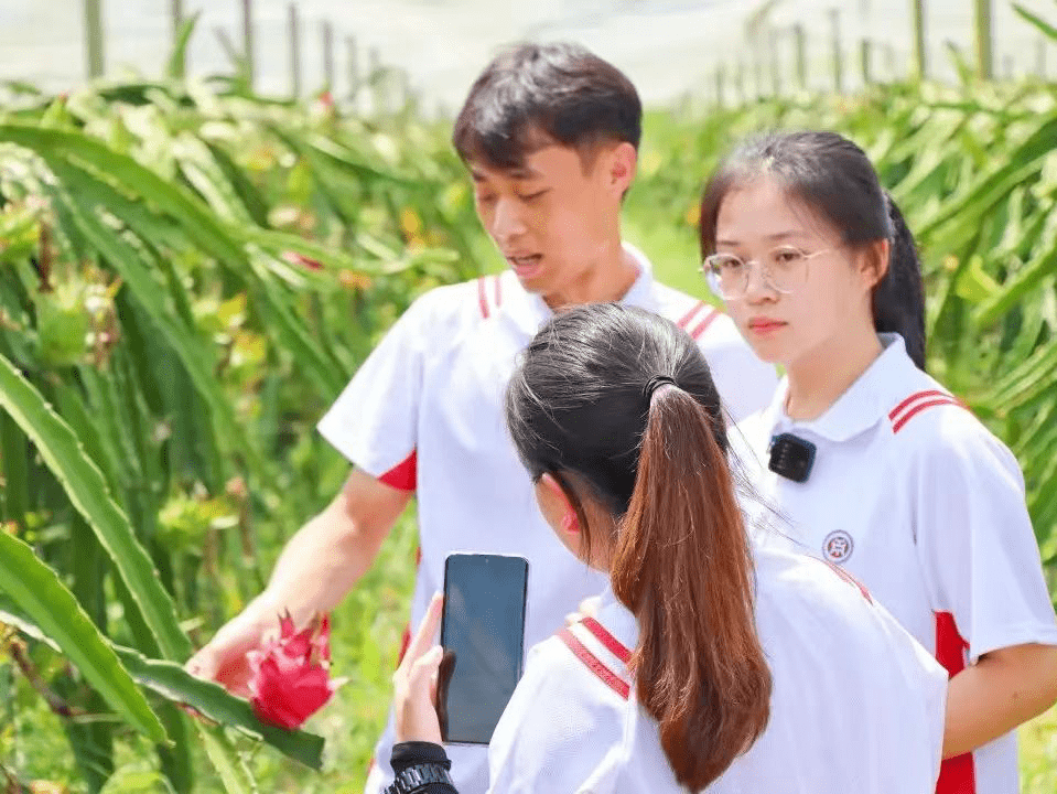 直播_增城_大学生