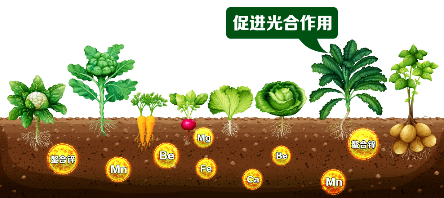 氨基酸,腐植酸,海藻酸,各有什么优缺点?_植物_作物_效果